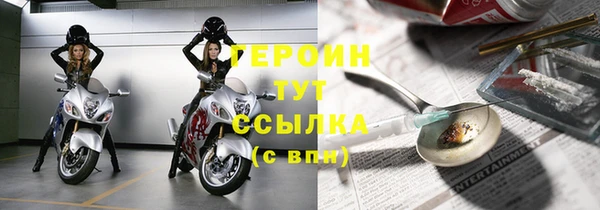 амф Ельня