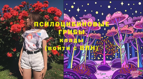 ешки Пестово
