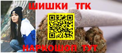 винт Дубна