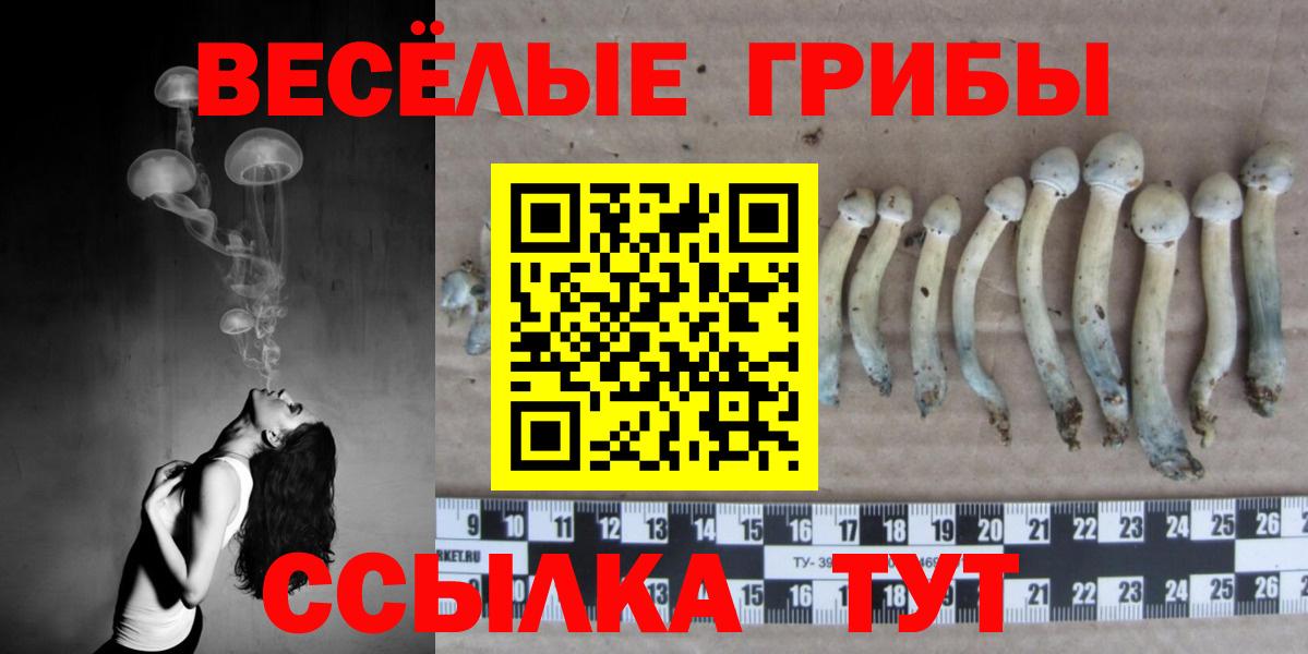 Псилоцибиновые грибы мицелий Сибай