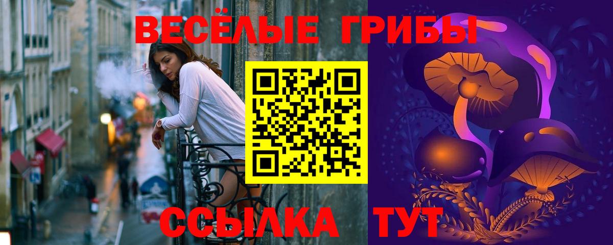 Галлюциногенные грибы GOLDEN TEACHER Сибай